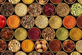Condimentos en la gastronomía de México