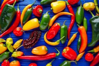 Los chiles más picosos del mundo