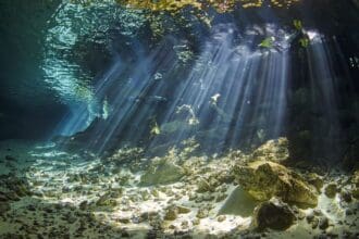 Yucatán fomenta el turismo con realidad virtual