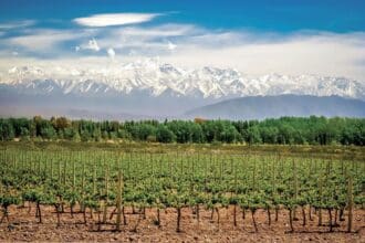 Mendoza: en las raíces de Los Andes