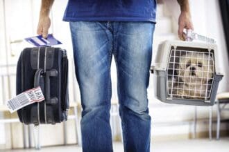 Viaja con tu mejor amigo a través de KLM