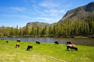 Parques Nacionales de EU: Esplendor de la naturaleza