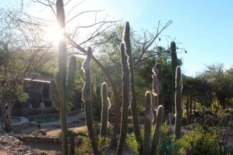 El sur de Sonora en 10 imágenes