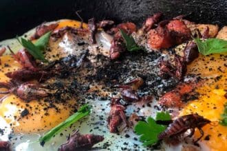 The Roost, el sabor del rostizado en su máxima expresión