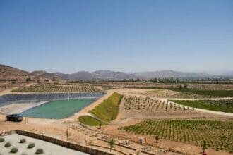 Valle Wine & Food Festival en Valle de Guadalupe