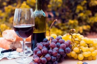 4 vinos argentinos imperdibles para brindar