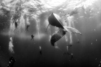 World Press Photo llega a Tijuana de la mano de Canon