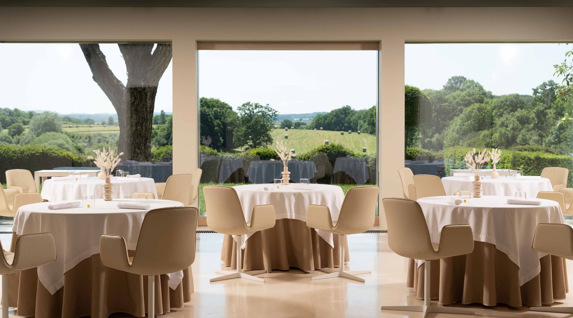 Restaurantes en el Mundo