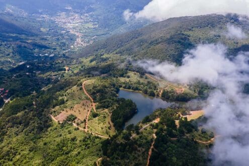 Queso, fruta y vinos de Costa Rica: 4 experiencias gastronómicas en las montañas de Dota