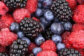 ¿Fan de las berries? Conoce las que se producen en México