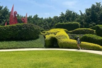 10 curiosidades de Jardines de México para celebrar su décimo aniversario
