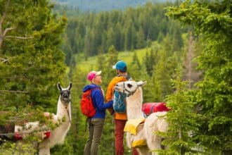 Disfruta del verano en Vail con cultura, gastronomía y aventura