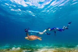 ¿Qué hacer en Tulum? 5 actividades culturales y en la naturaleza