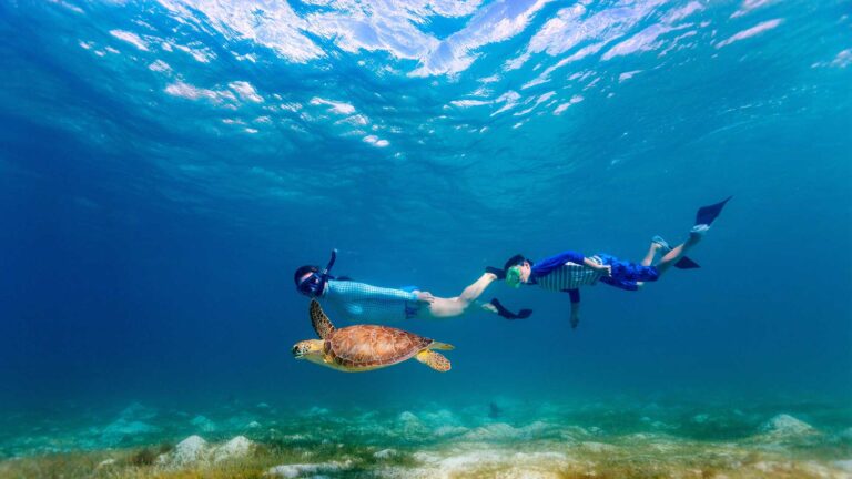 Actividades en Tulum