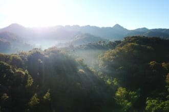 El Triunfo: el bosque más mágico del mundo está en México y te necesita