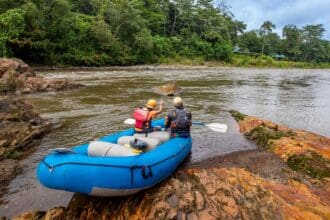 Vive Sarapiquí desde un hotel de murciélagos hasta sus actividades de aventura