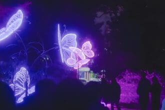 ¿Qué hacer en la CDMX en julio? planes con arte, cine y comida