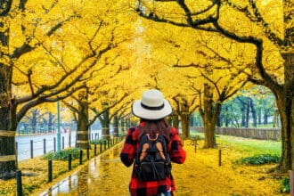 ¿Vacaciones en otoño? Aquí las tendencias de viaje de esta época