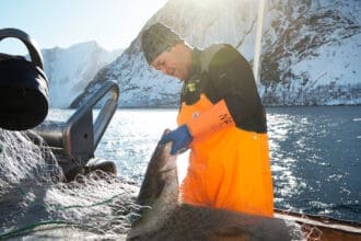 ¡Un clásico navideño! Lo que no sabías del bacalao noruego