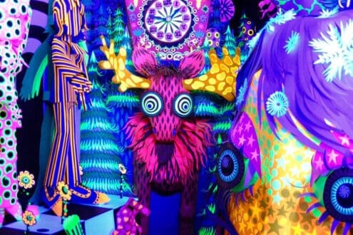 ¿Qué hacer en Houston? Arte, música y compras en 72 horas