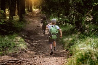 El bosque nos espera: senderismo para niños
