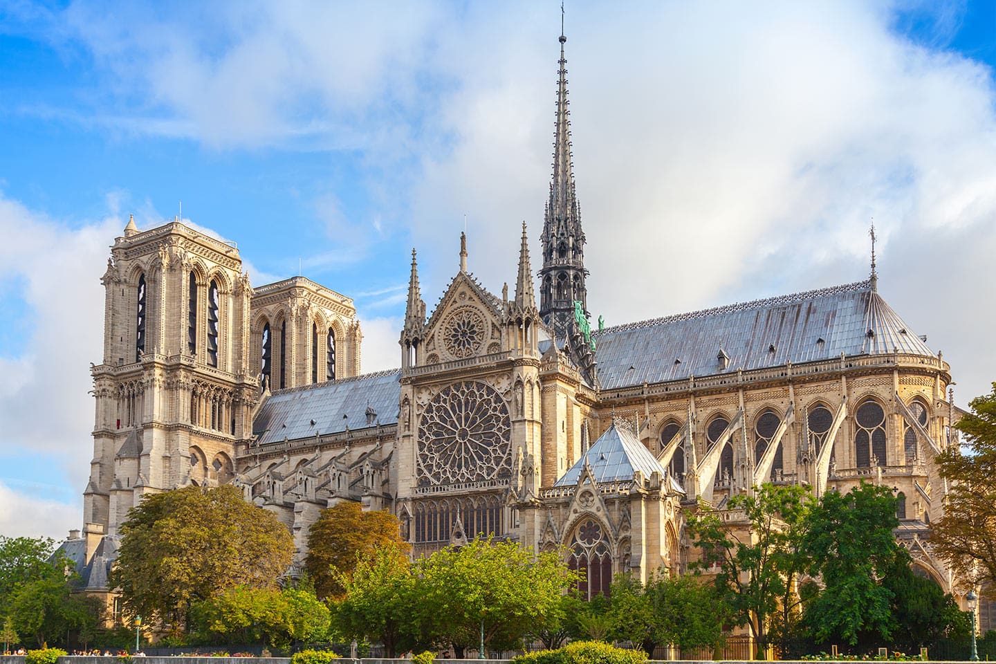 reapertura notre dame cielo