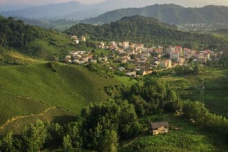 Tés olvidados: regiones poco conocidas al rescate de su tradición