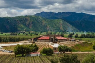 Nación de Vinos 2025: agéndate este festival del vino mexicano