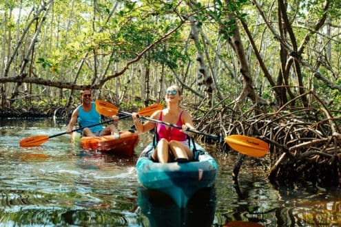 ¡5 paradas para disfrutar de la Costa del Golfo de Florida!