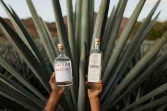 ¿Antojo de mezcal y andas en la Juárez? Lánzate a Apotheca de Mezcal