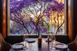 5 restaurantes para ver jacarandas en la Ciudad de México