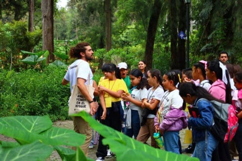 5 organizaciones para hacer un voluntariado ambiental en México