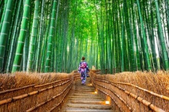 ¡Estos son los bosques más impresionantes del mundo!