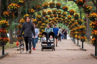 ¿Cuándo es el Festival Flores y Jardines de Polanco 2025?