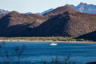 ¿Por qué las ballenas adoran San Ignacio, Baja California Sur?