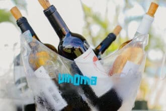 Toma nota del festival de vino que no te debes perder en Jalisco