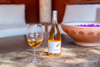 ¡Histórico! Vinos de Querétaro, primeros en recibir una Indicación Geográfica Protegida en el país