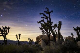 ¿Qué hay en Coachella Valley, además del festival de música?