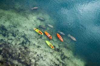 ¿Amante de la aventura? 5 lugares para visitar en Florida Central