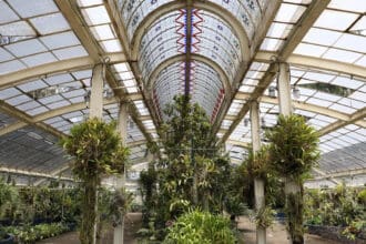Los mejores lugares para conectar con la naturaleza en CDMX