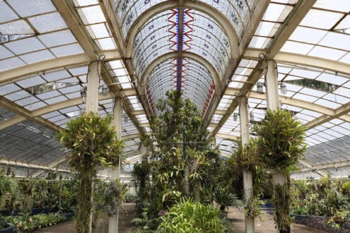 Los mejores lugares para conectar con la naturaleza en CDMX