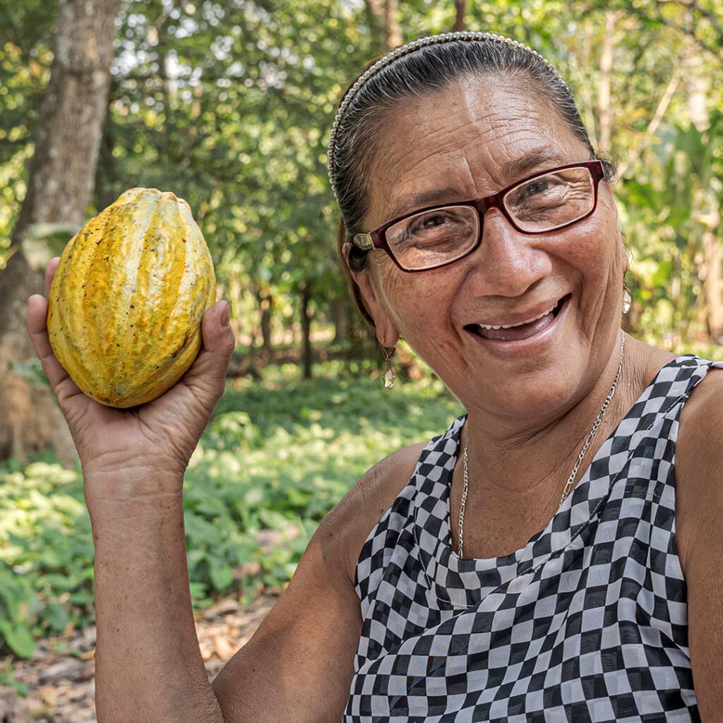 Recolección de cacao en Tabasco