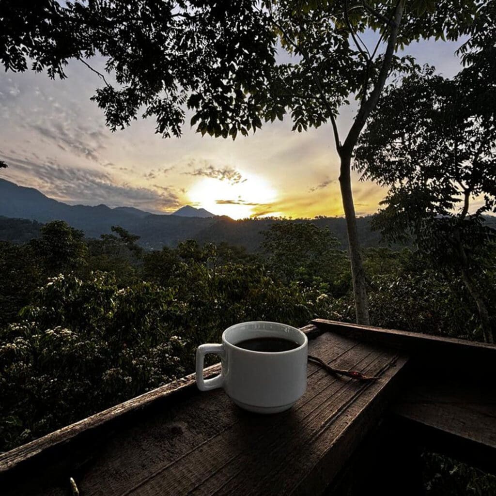 Agroturismo en México: Finca Argovia