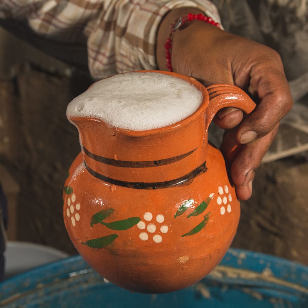 Agroturismo en México: elaboración de pulque en Tlaxcala