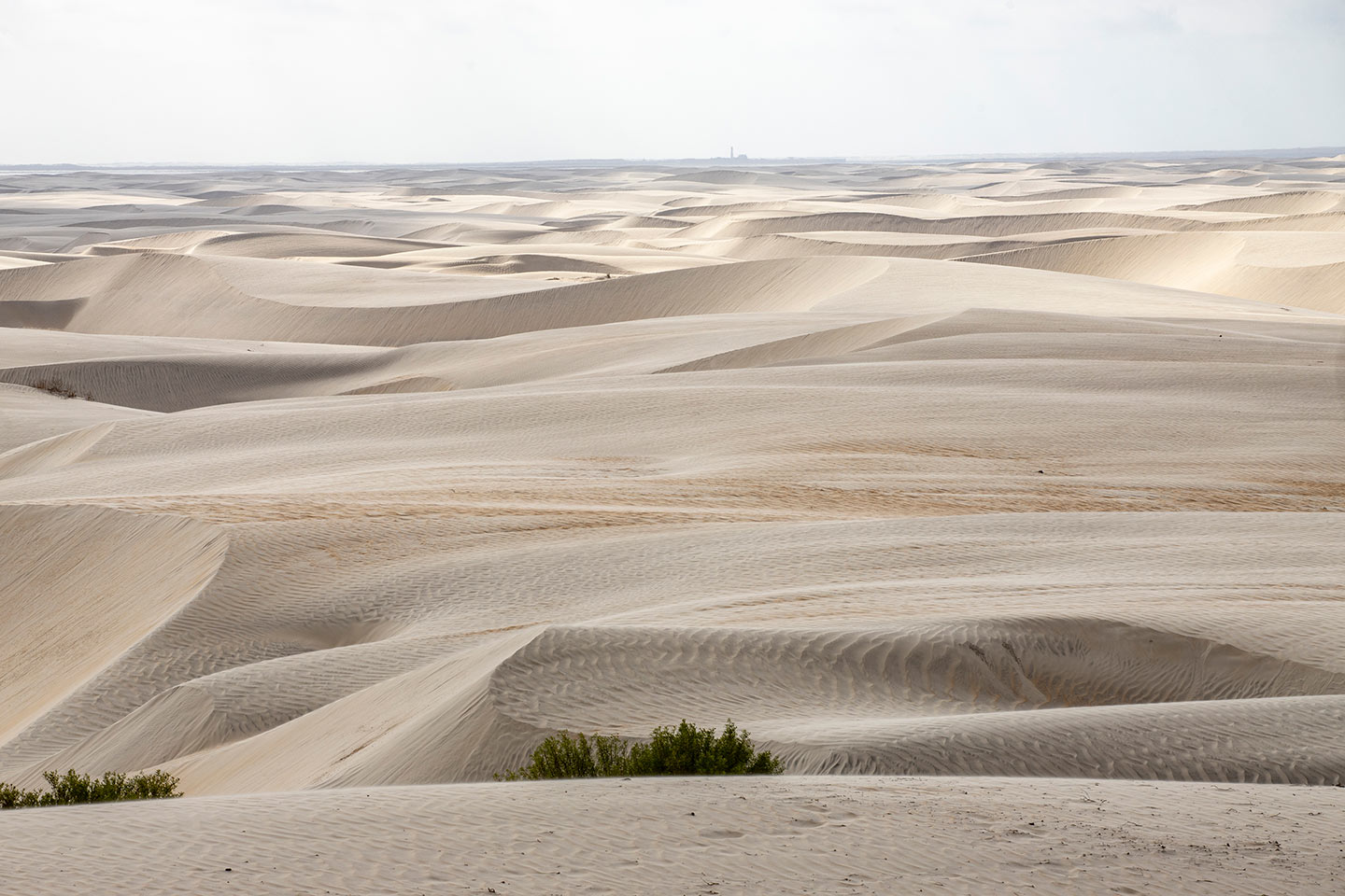 Dunas de la Soledad, en Guerrero Negro