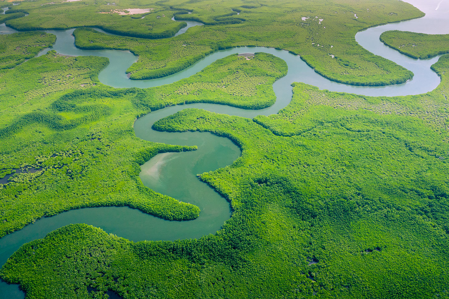 Selva amazónica