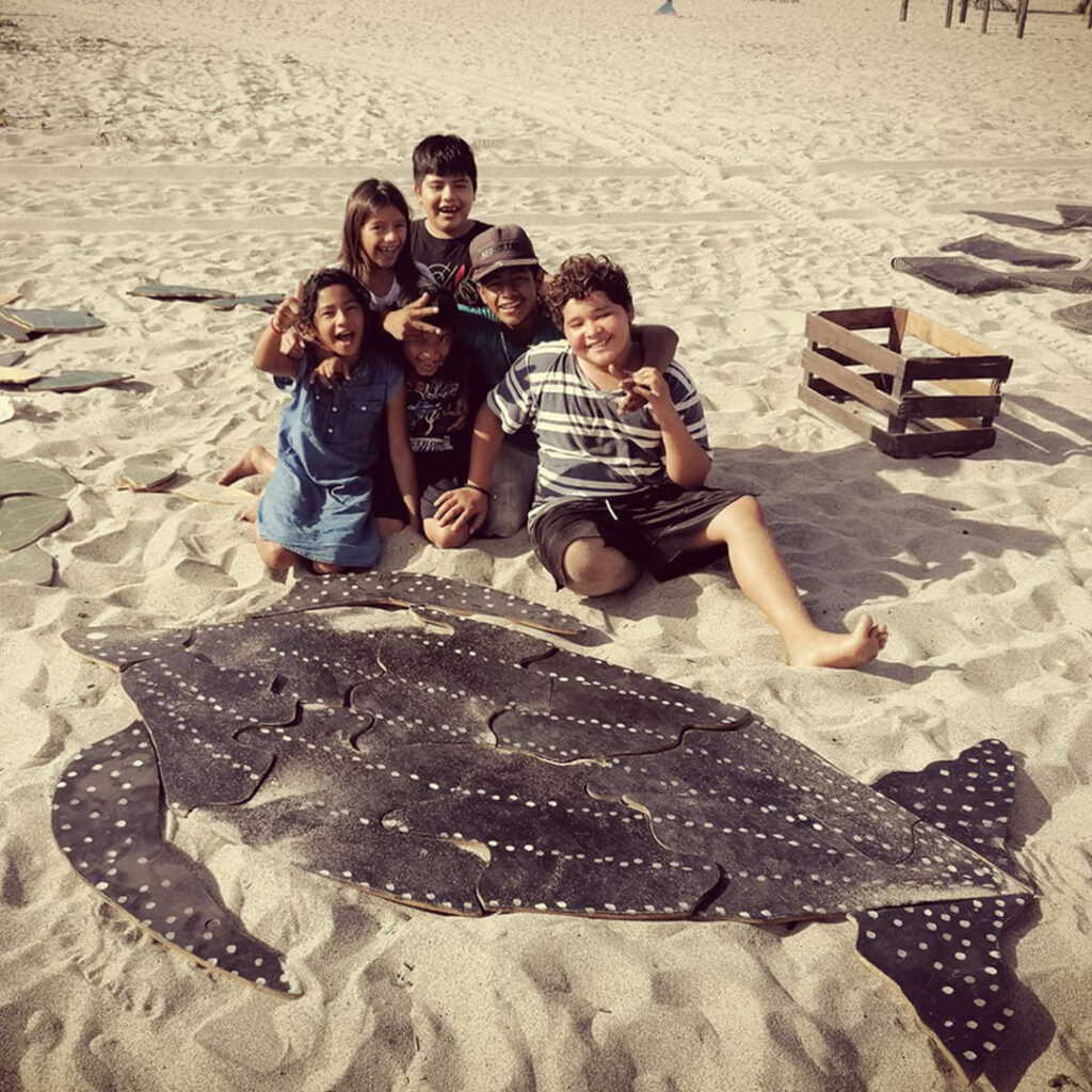 playas de anidación de tortugas en México