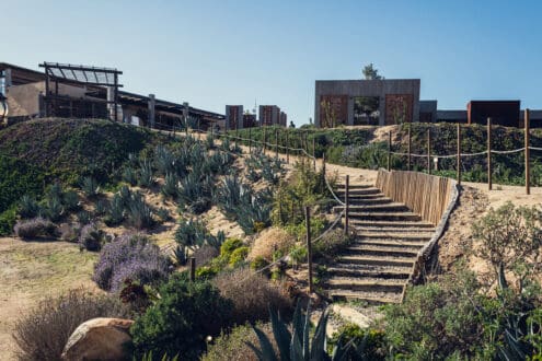 ¿Buscas hospedaje en Valle de Guadalupe? Mira estas suites entre los viñedos