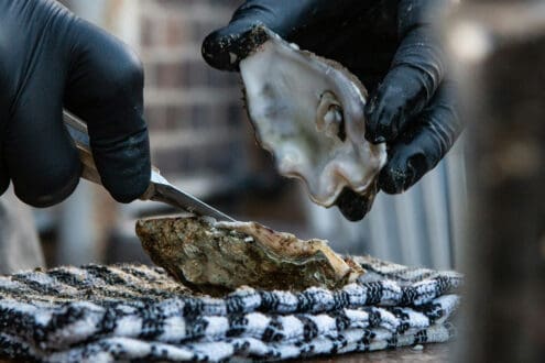 5 beneficios de comer moluscos: ¡almejas, ostras y mejillones!