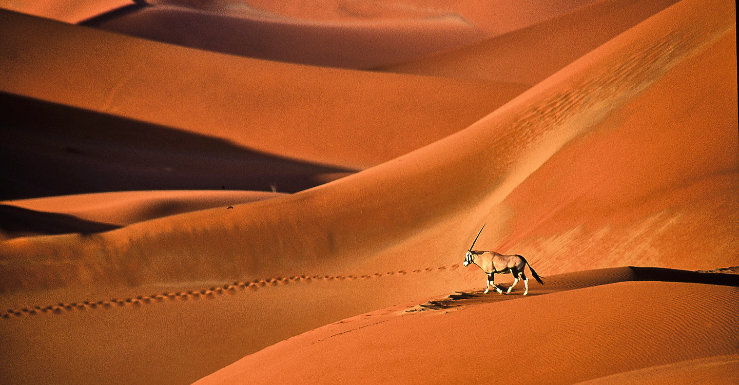 Lugares imperdibles de África